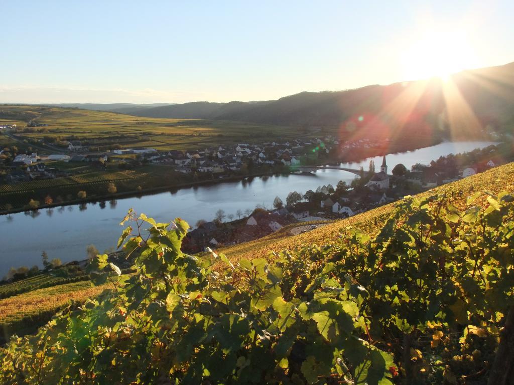 Weingut Lehnert-Veit Gutshotel بيزبورت المظهر الخارجي الصورة