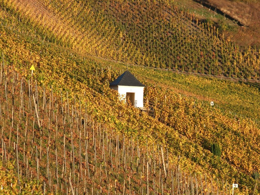 Weingut Lehnert-Veit Gutshotel بيزبورت المظهر الخارجي الصورة