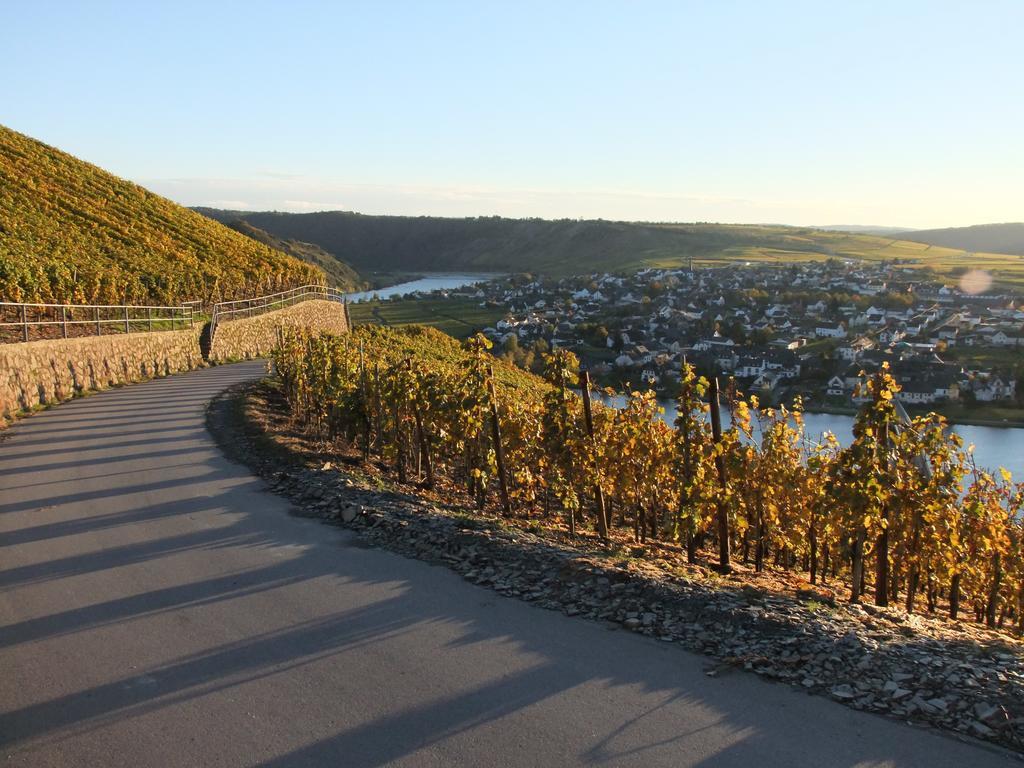 Weingut Lehnert-Veit Gutshotel بيزبورت المظهر الخارجي الصورة