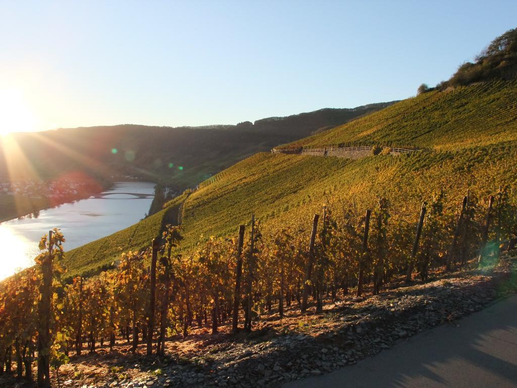 Weingut Lehnert-Veit Gutshotel بيزبورت المظهر الخارجي الصورة