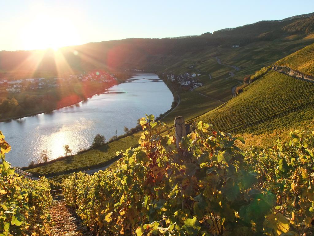 Weingut Lehnert-Veit Gutshotel بيزبورت المظهر الخارجي الصورة