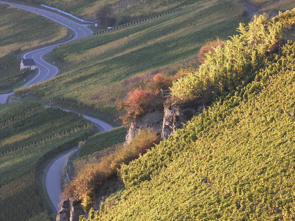 Weingut Lehnert-Veit Gutshotel بيزبورت المظهر الخارجي الصورة