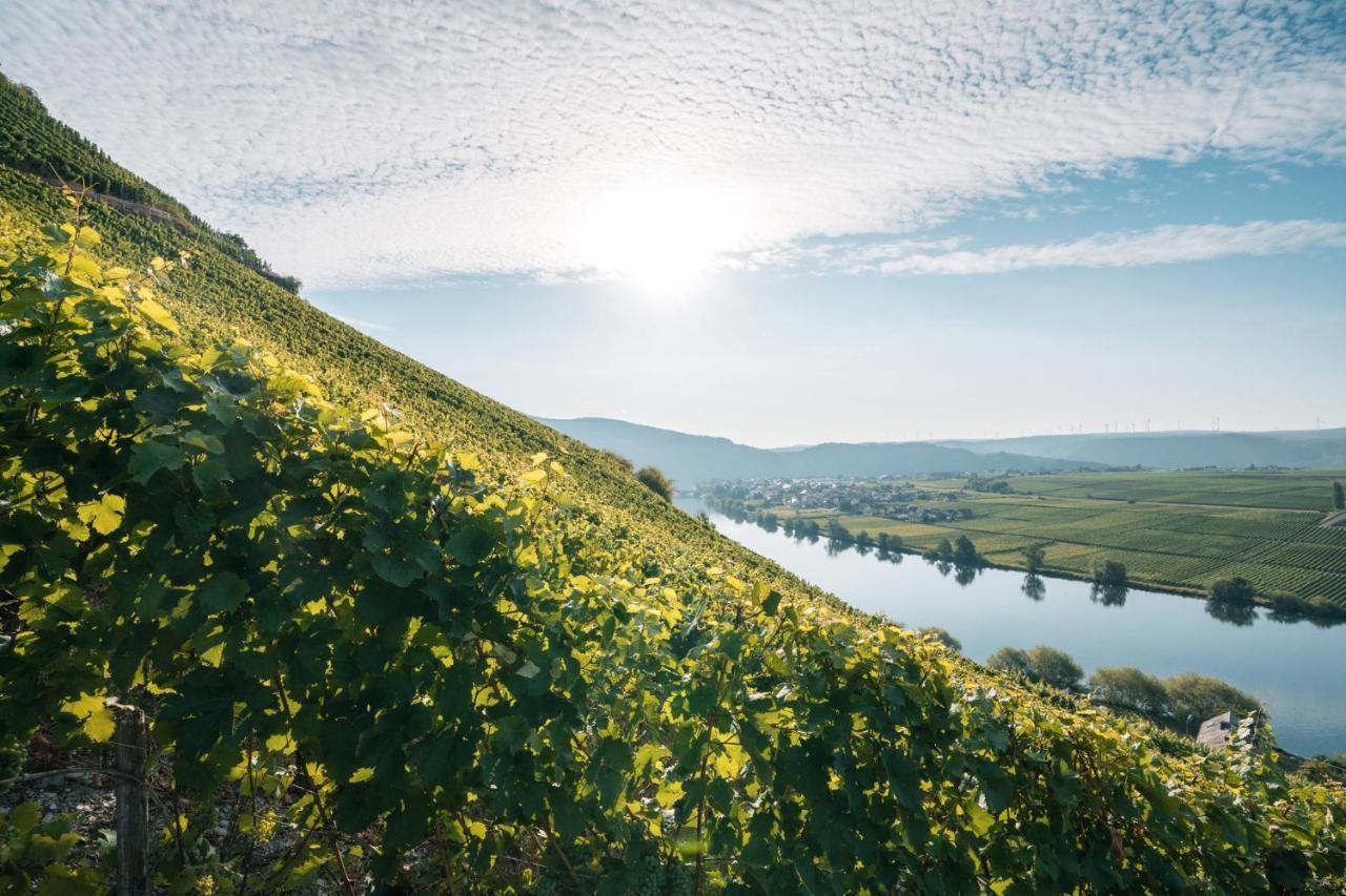 Weingut Lehnert-Veit Gutshotel بيزبورت المظهر الخارجي الصورة