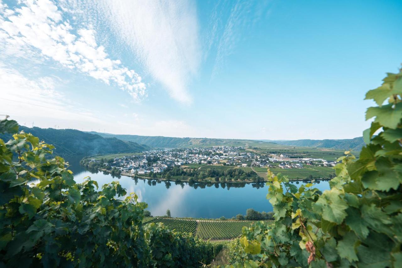 Weingut Lehnert-Veit Gutshotel بيزبورت المظهر الخارجي الصورة